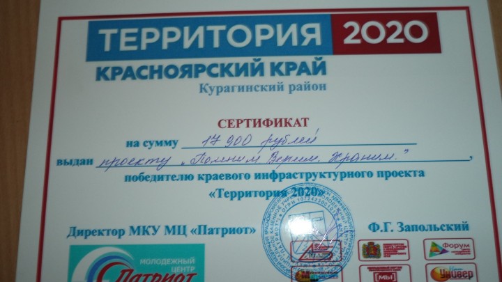 Сертификат Территория 2020